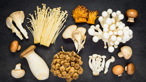 An Overview Of What Medicinal Mushrooms Can Do For Your Health