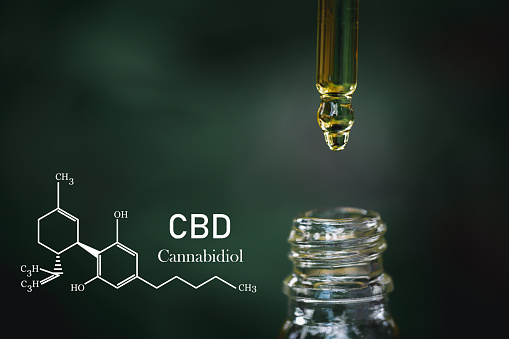 What Should You Know Before Investing In CBD Stocks?