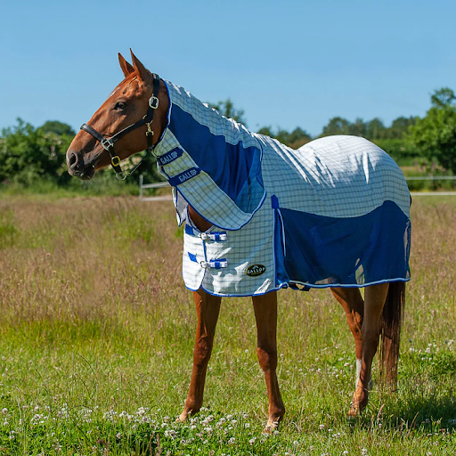 Waterproof Fly Rug To Protect Your Horses In All Weather Conditions!