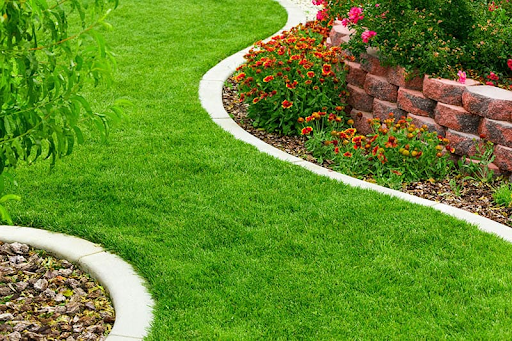Lawn Edge Borders: The Final Touch for a Polished and Neat Landscape