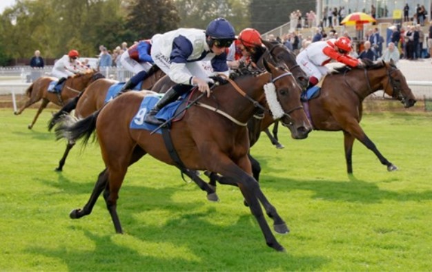 Why Madras Race Club Is A Premier Destination For Horse Racing Enthusiasts