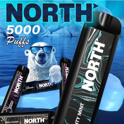 A Complete Guide To The Features Of North 5000 Disposable Vape