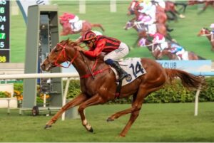 Understanding the Hyderabad Race Club for New Followers
