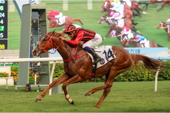 Understanding the Hyderabad Race Club for New Followers