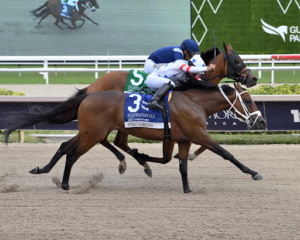 Hyderabad Race Club: Inside One of India’s Most Prestigious Thoroughbred Racing Institutions