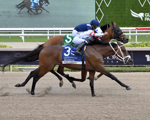 Hyderabad Race Club: Inside One of India’s Most Prestigious Thoroughbred Racing Institutions