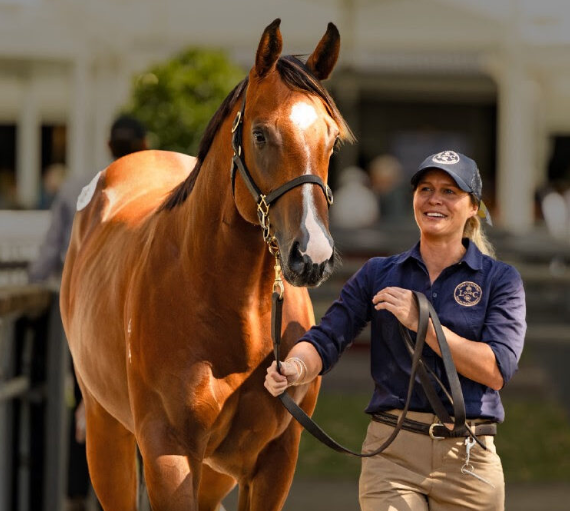 RWITC Mumbai: The Home of Indian Horse Racing’s Greatest Traditions RWITC Mumbai: The Home of Indian Horse Racing’s Greatest Traditions