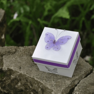 Butterfly Release for Memorial Service: Meaning and Planning Guide Butterfly Release for Memorial Service: Meaning and Planning Guide