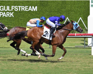 Everything You Should Know About a Horse Race in Chennai Before Visiting