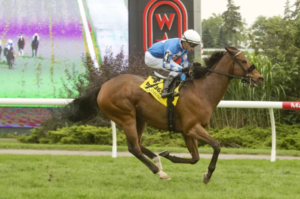 How to Read a Horse Race Result Like an Expert: A Beginner’s Guide