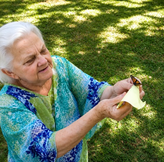 Butterfly Release for Memorial Service: Meaningful Tribute to Loved Ones