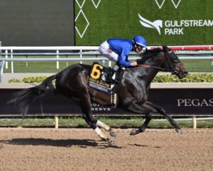 Bangalore Turf Club: A Guide to Race Cards,  Tips and Other Updates