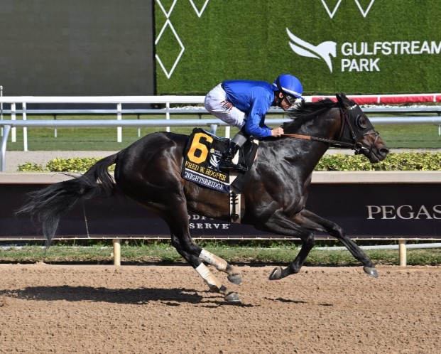 Bangalore Turf Club: A Guide to Race Cards,  Tips and Other Updates